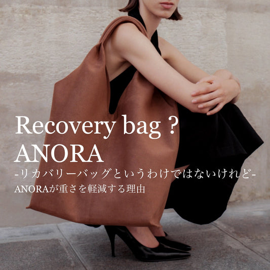 リカバリーバッグ、というわけではないけれど